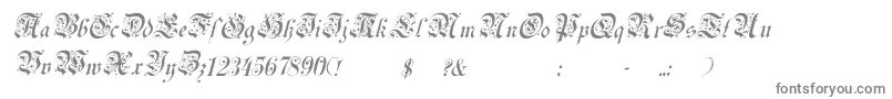 フォントUechiItalic – 白い背景に灰色の文字