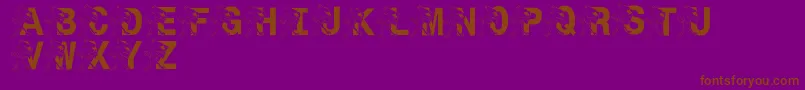 LmsSt.JoesJayhawk Font – Brown Fonts on Purple Background