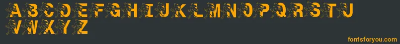 LmsSt.JoesJayhawk Font – Orange Fonts on Black Background