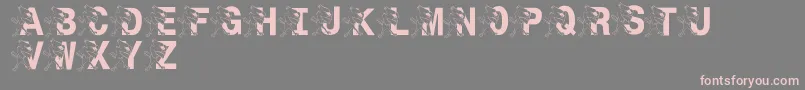 LmsSt.JoesJayhawk Font – Pink Fonts on Gray Background