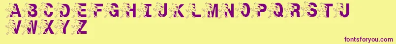 LmsSt.JoesJayhawk Font – Purple Fonts on Yellow Background