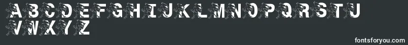 LmsSt.JoesJayhawk Font – White Fonts on Black Background