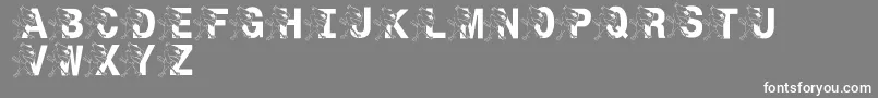 LmsSt.JoesJayhawk Font – White Fonts on Gray Background