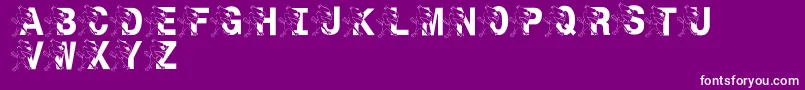 LmsSt.JoesJayhawk Font – White Fonts on Purple Background