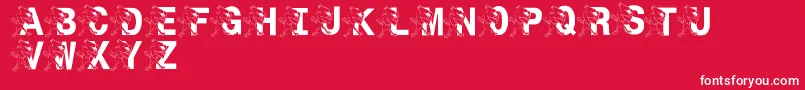 LmsSt.JoesJayhawk Font – White Fonts on Red Background