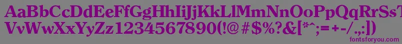 フォントClearfaceserialXboldRegular – 紫色のフォント、灰色の背景