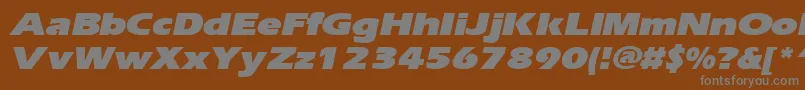 ErgoeblackexpandedItalic-Schriftart – Graue Schriften auf braunem Hintergrund