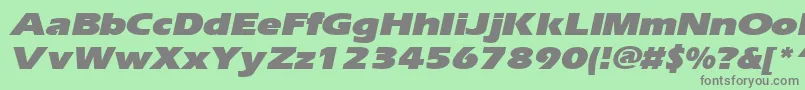 ErgoeblackexpandedItalic Font – Gray Fonts on Green Background