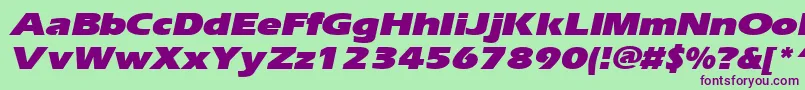 ErgoeblackexpandedItalic Font – Purple Fonts on Green Background