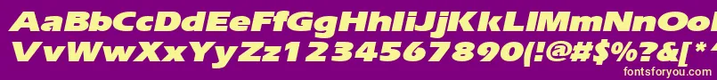 ErgoeblackexpandedItalic Font – Yellow Fonts on Purple Background