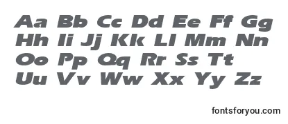 Обзор шрифта ErgoeblackexpandedItalic