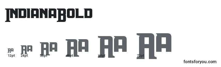 IndianaBold Font Sizes
