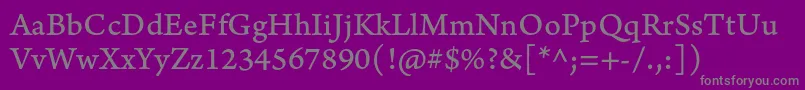 ArnoproCaption-Schriftart – Graue Schriften auf violettem Hintergrund