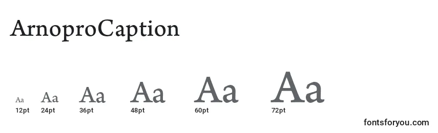 Размеры шрифта ArnoproCaption