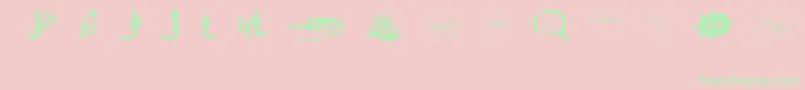 VidasSecasDingbats Font – Green Fonts on Pink Background