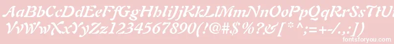 AuriolLtBoldItalic Font – White Fonts on Pink Background