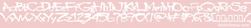 Blottooo40oz Font – White Fonts on Pink Background