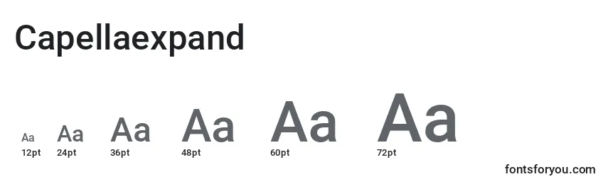 Размеры шрифта Capellaexpand