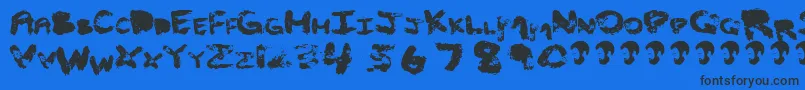 OpnCleaghE-Schriftart – Schwarze Schriften auf blauem Hintergrund