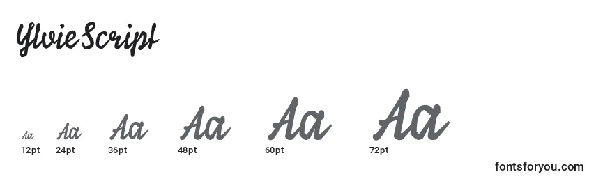 Размеры шрифта YlvieScript