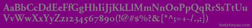 Шрифт AdobeGaramondBoldOldstyleFigures – серые шрифты на фиолетовом фоне