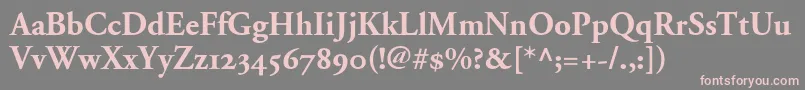 AdobeGaramondBoldOldstyleFigures Font – Pink Fonts on Gray Background