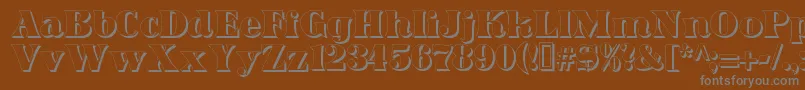 DominoShadow Font – Gray Fonts on Brown Background