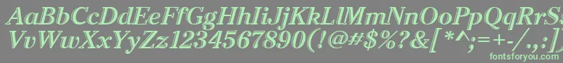 CheltenhamHtdItcTtItalic Font – Green Fonts on Gray Background