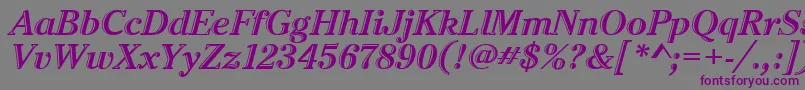 CheltenhamHtdItcTtItalic Font – Purple Fonts on Gray Background