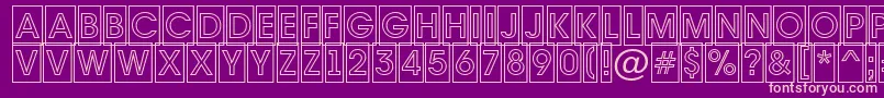 Шрифт Avante7 – розовые шрифты на фиолетовом фоне