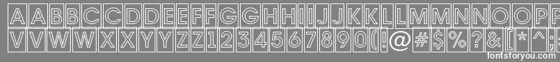 フォントAvante7 – 灰色の背景に白い文字