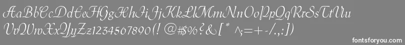 MenuetScript Font – White Fonts on Gray Background