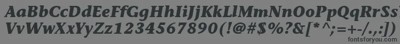 フォントItcStoneInformalLtBoldItalic – 黒い文字の灰色の背景