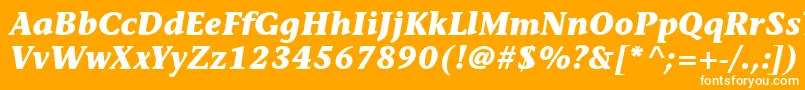 Czcionka ItcStoneInformalLtBoldItalic – białe czcionki na pomarańczowym tle