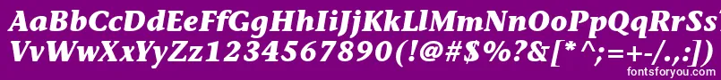 ItcStoneInformalLtBoldItalic Font – White Fonts on Purple Background