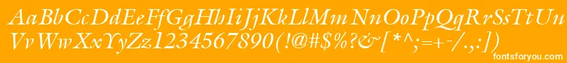 ItcGalliardLtItalic Font – White Fonts on Orange Background