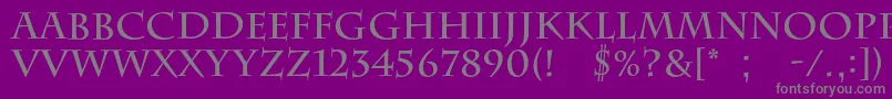 BarrygothiccBold Font – Gray Fonts on Purple Background