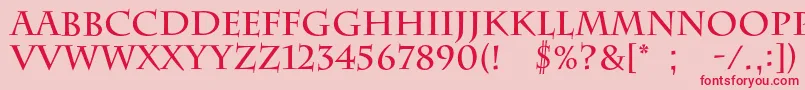 フォントBarrygothiccBold – ピンクの背景に赤い文字