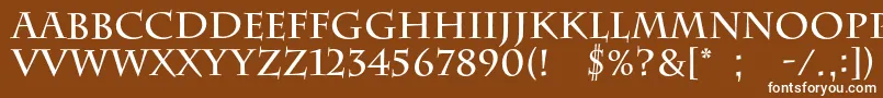 BarrygothiccBold Font – White Fonts on Brown Background