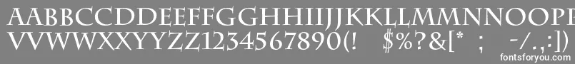 BarrygothiccBold Font – White Fonts on Gray Background