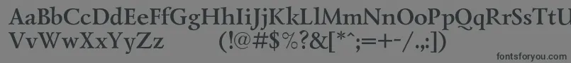 LazurskiexpodcBold Font – Black Fonts on Gray Background