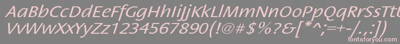 StackextoblNor Font – Pink Fonts on Gray Background