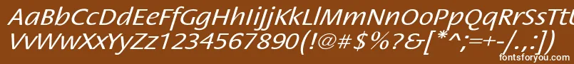 StackextoblNor Font – White Fonts on Brown Background