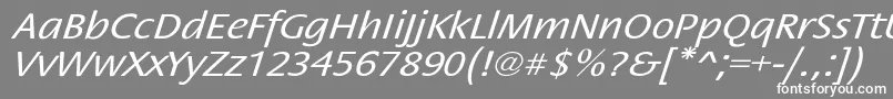 フォントStackextoblNor – 灰色の背景に白い文字