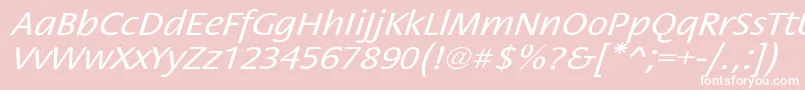 StackextoblNor Font – White Fonts on Pink Background