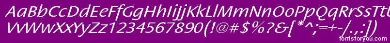 StackextoblNor Font – White Fonts on Purple Background