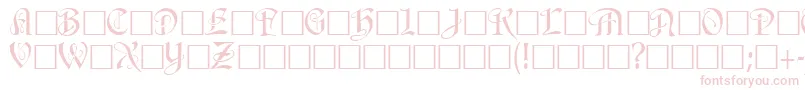 AmnenaRegular Font – Pink Fonts on White Background