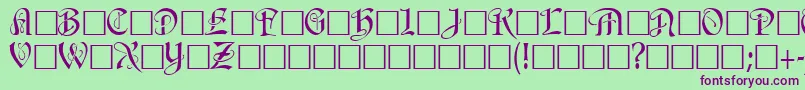 AmnenaRegular Font – Purple Fonts on Green Background