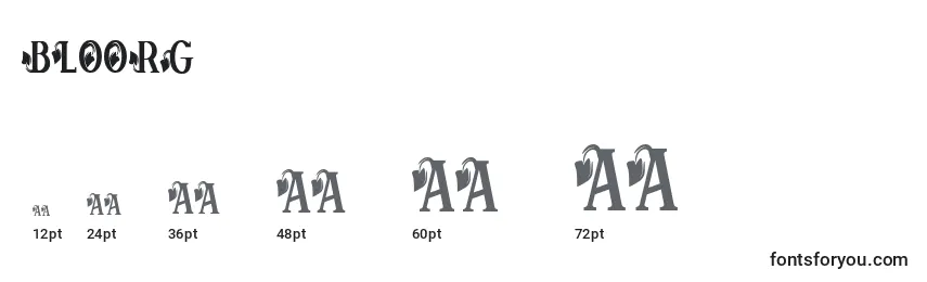 Bloorg Font Sizes