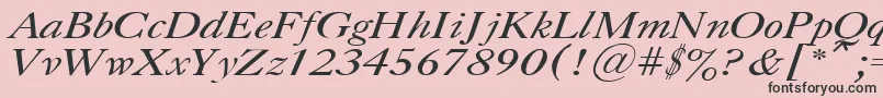 フォントCaslonItalic.001.001 – ピンクの背景に黒い文字